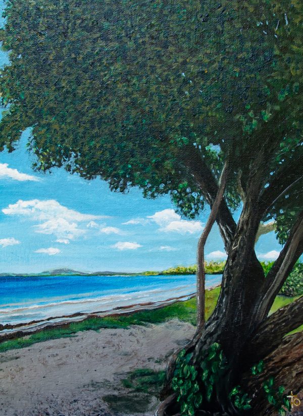 Almond Tree by the Seaside - Playa Los Machos in Ceiba, Puerto Rico Original Painting in Acrylic