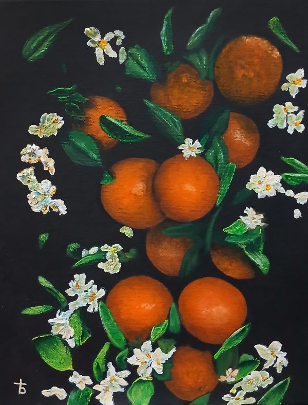 The Imperiled Florida Orange - Prints Still Available - See Description for Link